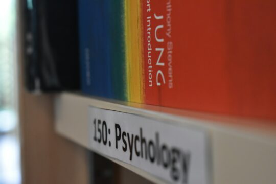 Entretiens thérapeutiques fondés sur le modèle IFS : une étude qualitative